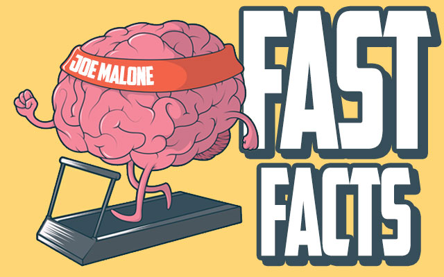 Fast Facts with Joe Malone