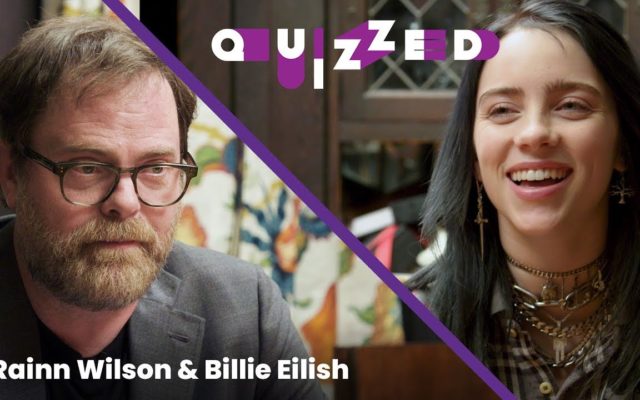 Billie Eilish Hung Out With Rainn Wilson Of “The Office” On Instagram Live For “Hey There Human”