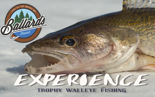 <h1 class="tribe-events-single-event-title">Winter Walleye Connection!</h1>