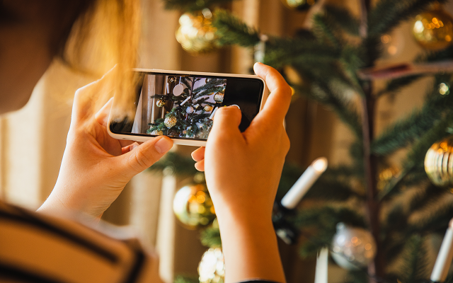 App Lets Shoppers Try Out Christmas Trees Before Buying One
