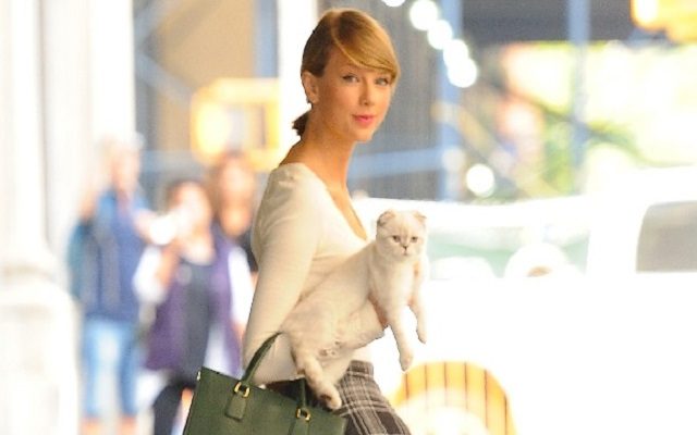 Taylor Swift’s Cats Named The Most-Searched Celebrity Pets On Google