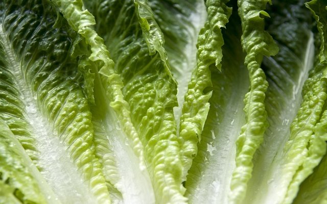 This Viral Hack To Keep Lettuce Fresh For An Entire Month Is Blowing My Mind