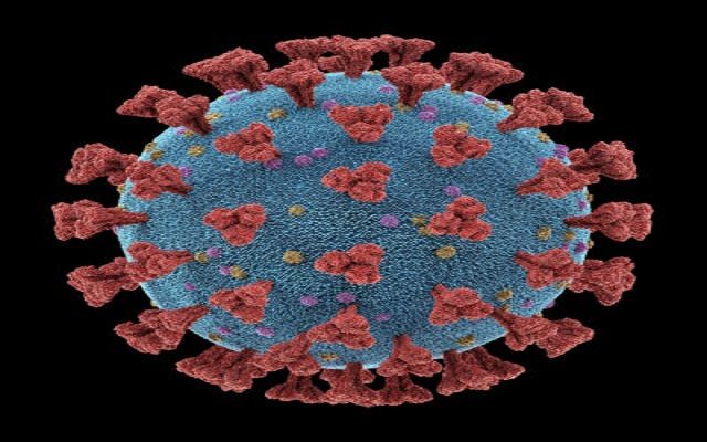Mutated, More Transmissible Coronavirus Found In Colorado