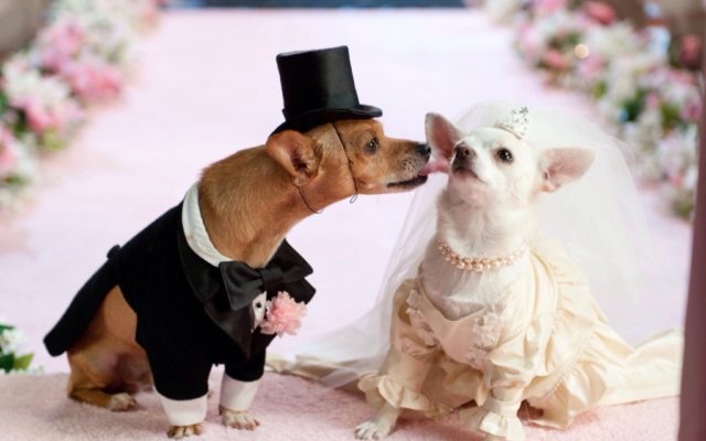 The 100 Most Requested Wedding Songs of All Time