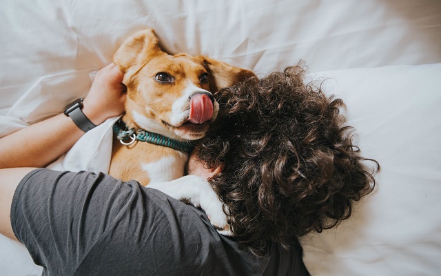 Should you be sleeping with your pets?