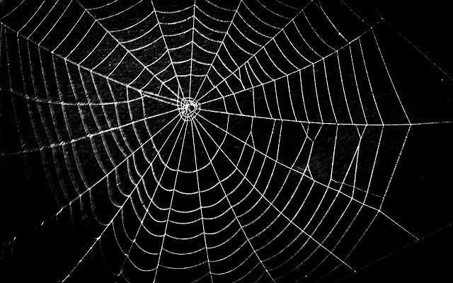Monster Spider Webs Blanket Australian Town