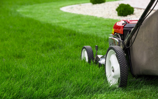 The Best Times to Mow Your Lawn Are Around 9:00 a.m. and 5:00 p.m.