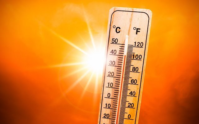 Heat Wave Warning: Hot Asphalt Can Burn Your Skin