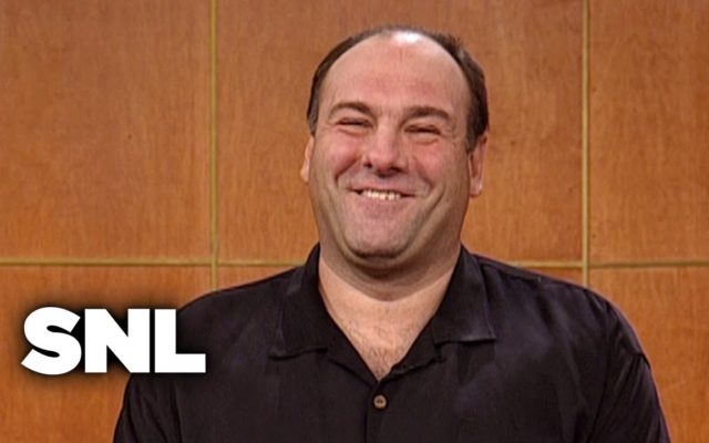 Tony Soprano Nearly Replaced Michael Scott On ‘The Office’