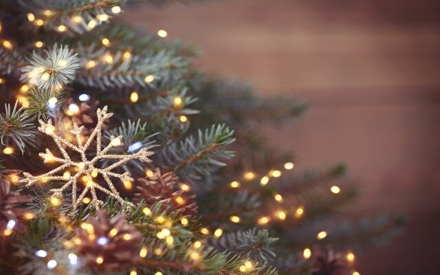 Why Are Christmas Tree Sales Surging In The UK?