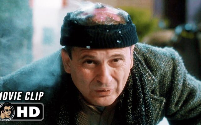 Joe Pesci Shares That He Sustained ‘Serious Burns’ From Fiery ‘Home Alone 2’ Stunt