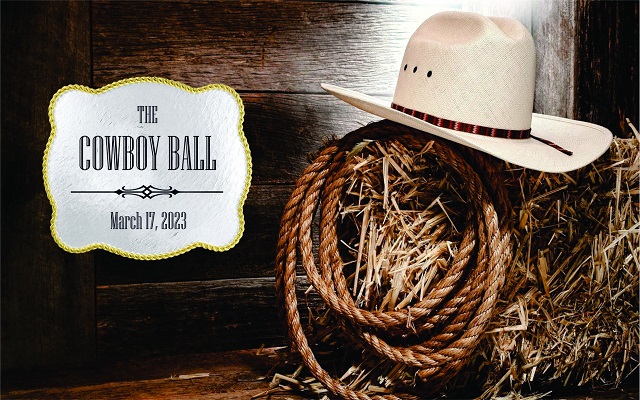 <h1 class="tribe-events-single-event-title">The North Iowa Cowboy Ball 🤠</h1>