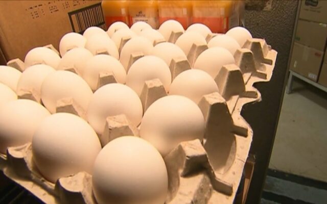 Eggflation: The Cost of Eggs Are Skyrocketing
