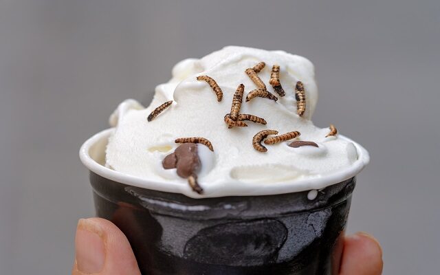 German Shop Offers Cricket-Flavored Ice Cream – With Real Crickets On Top 🦗